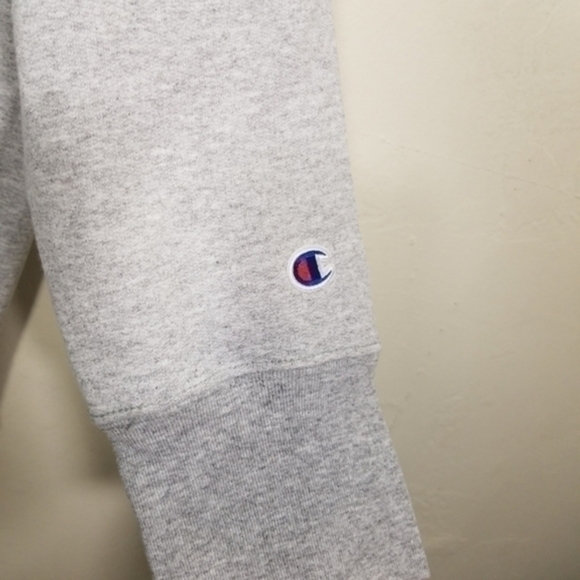 NWT Champion Hoodie Logo Sweatshirt Pullover Gray Size 4X - Picture 3 of 7